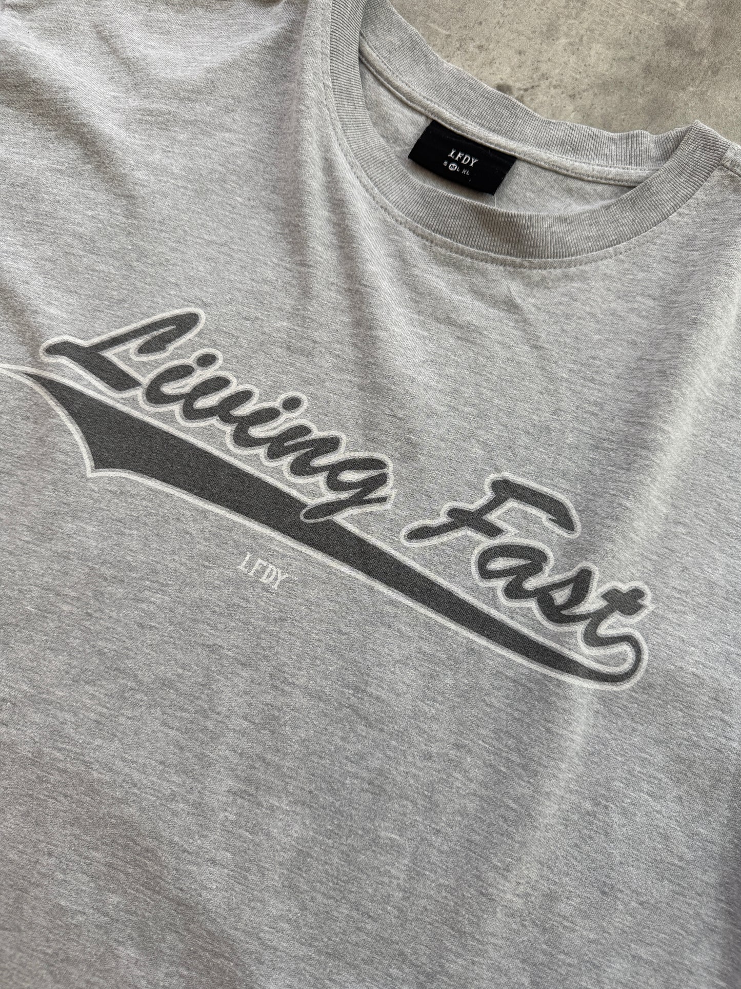 LFDY Living Fast T-Shirt grey