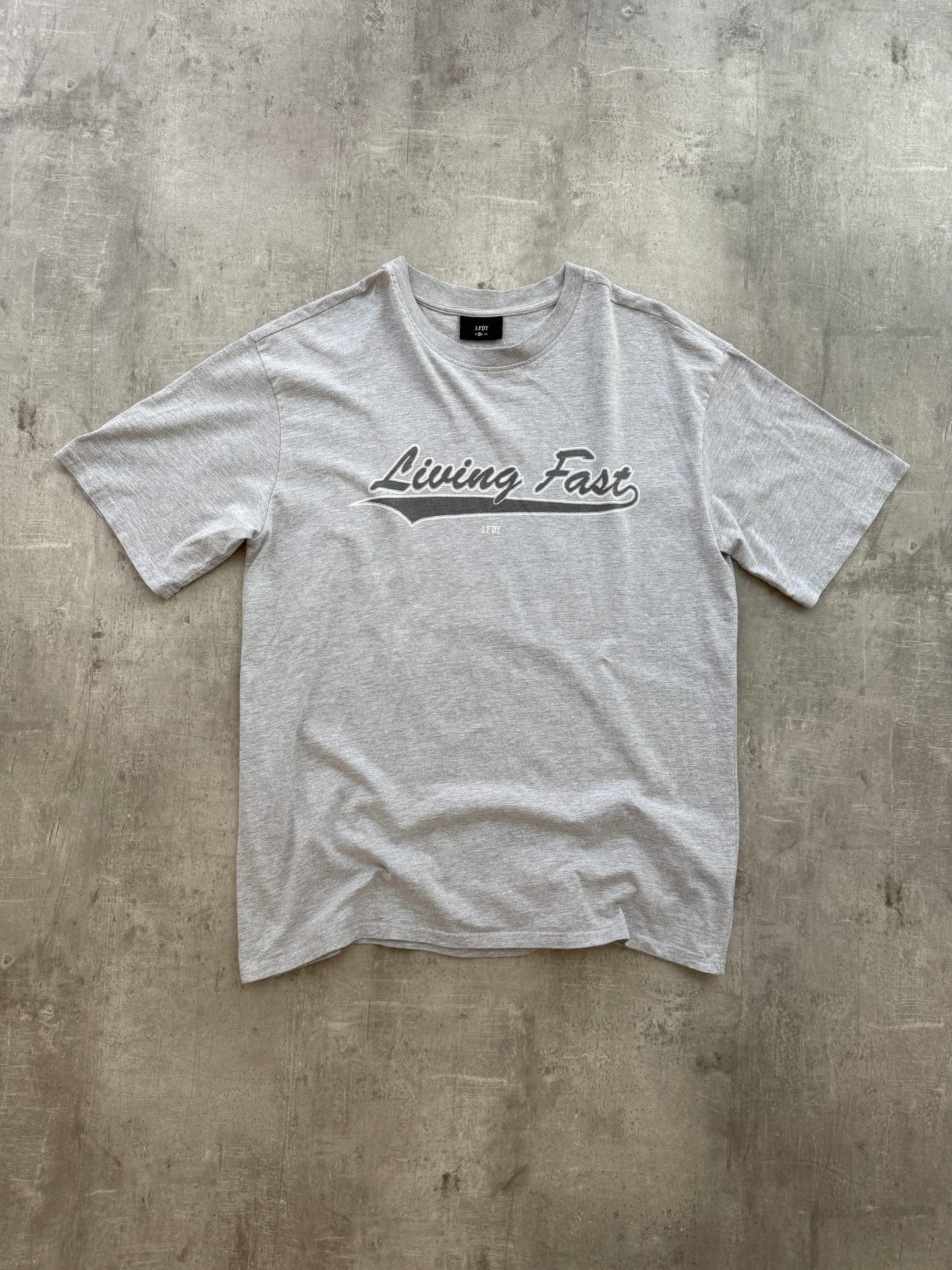 LFDY Living Fast T-Shirt grey